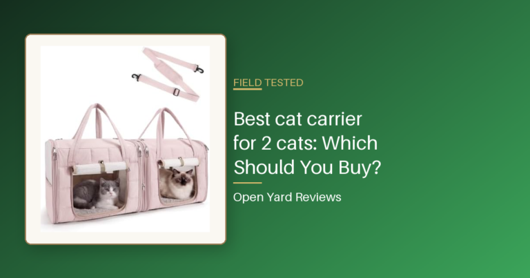 Best cat carrier for 2 cats: Which Should You Buy?