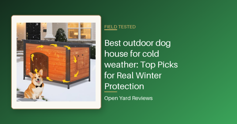 Best outdoor dog house for cold weather: Top Picks for Real Winter Protection